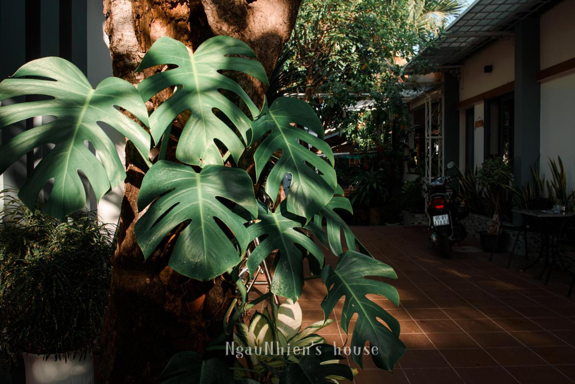 Ngaunhien'S House - Homestay Phan Rang-Tháp Chàm Zewnętrze zdjęcie