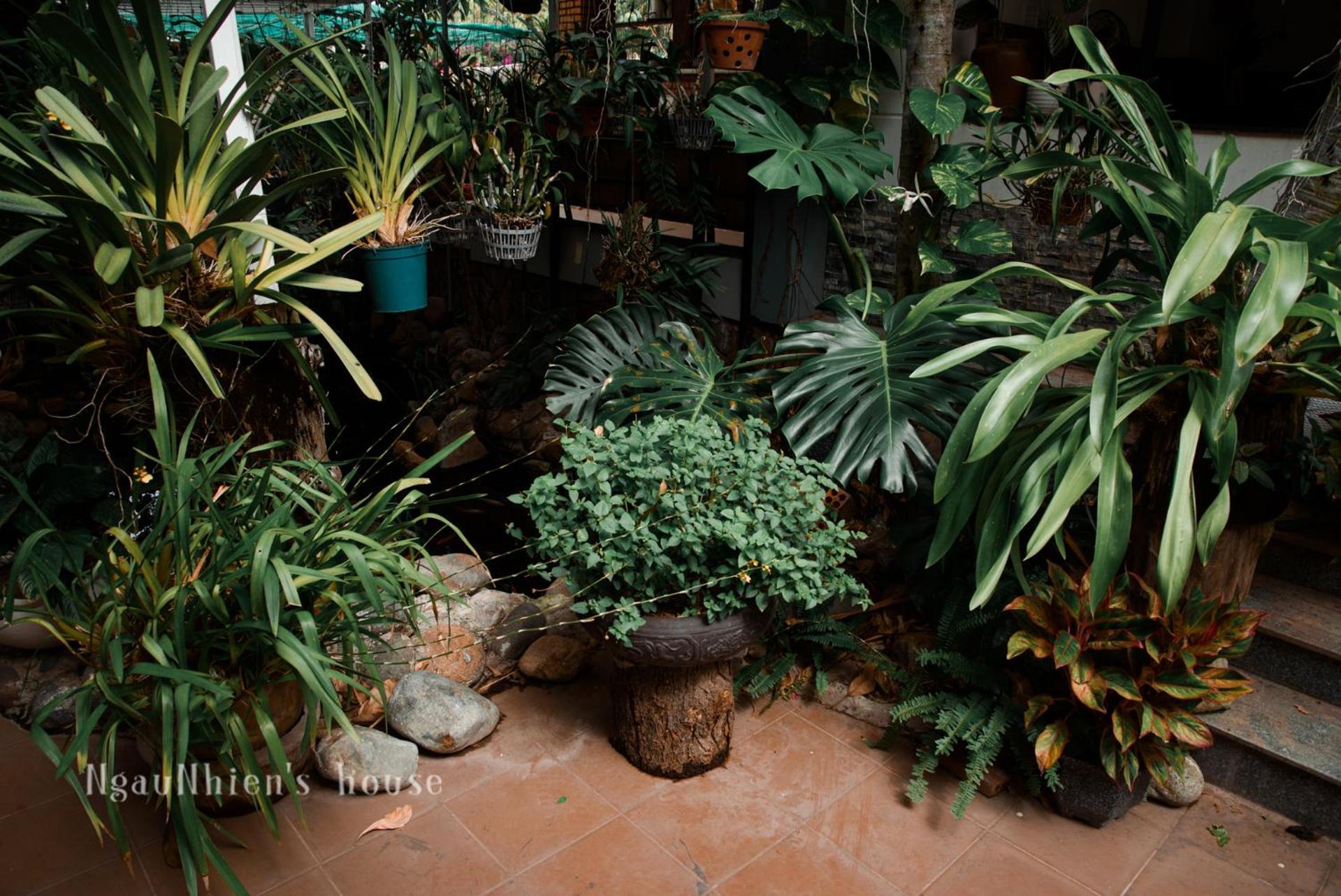 Ngaunhien'S House - Homestay Phan Rang-Tháp Chàm Zewnętrze zdjęcie