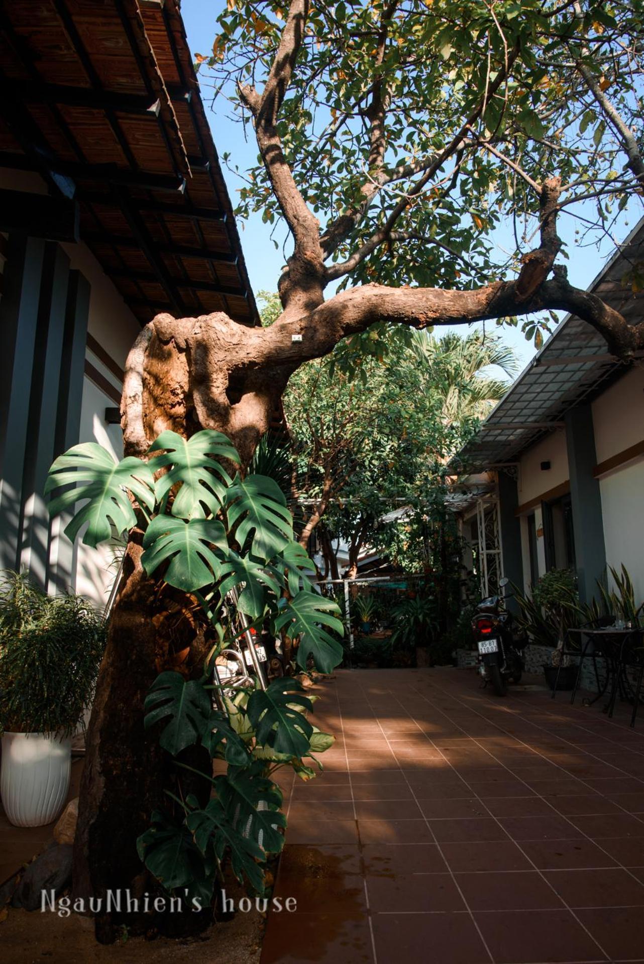 Ngaunhien'S House - Homestay Phan Rang-Tháp Chàm Zewnętrze zdjęcie