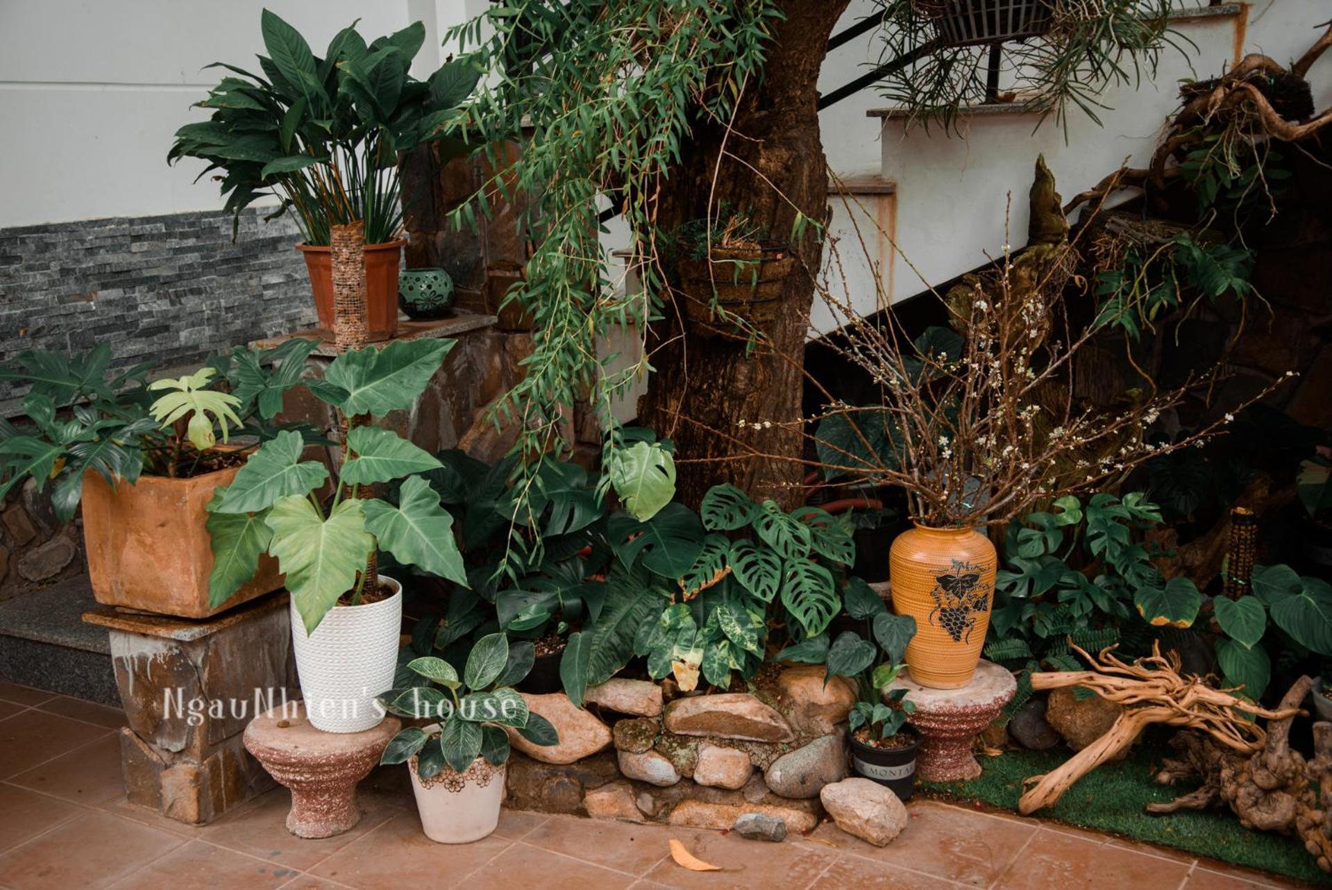 Ngaunhien'S House - Homestay Phan Rang-Tháp Chàm Zewnętrze zdjęcie