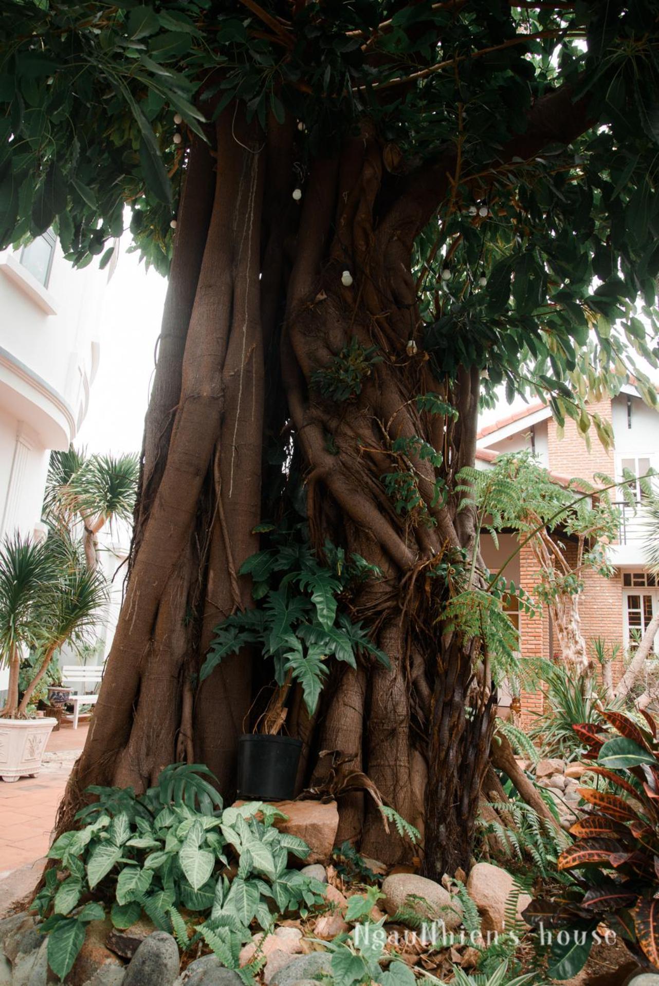 Ngaunhien'S House - Homestay Phan Rang-Tháp Chàm Zewnętrze zdjęcie